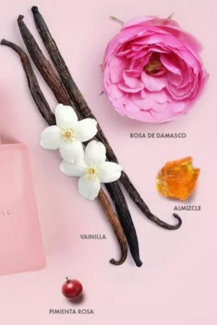 Body Lotion Signature